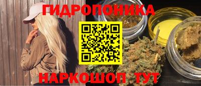 прущие грибы Пенза