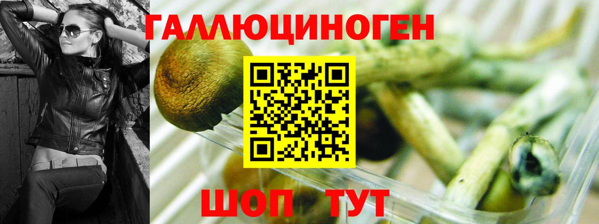Псилоцибиновые грибы мицелий  Вход с VPN  Петропавловск-Камчатский 