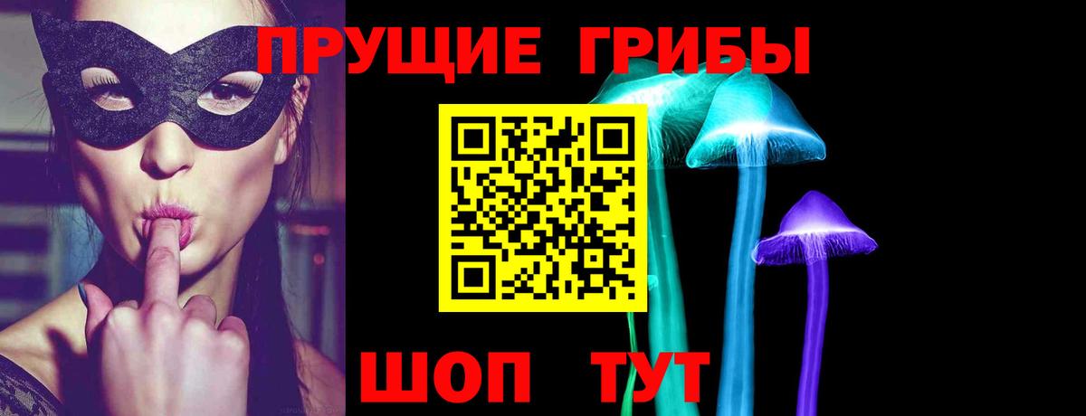 Галлюциногенные грибы Cubensis Петропавловск-Камчатский